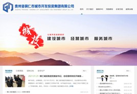 东昌城市开发投资集团有限公司