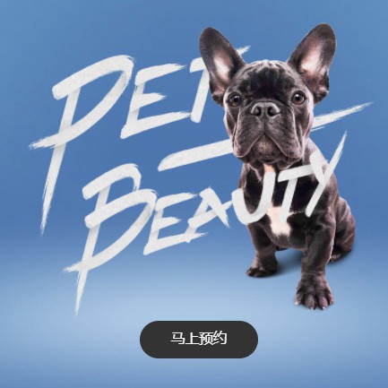 东昌宠物中心小程序开发